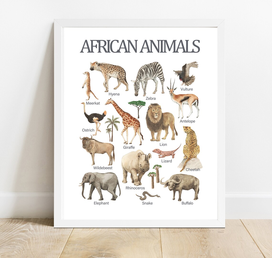 African Animals Educational Chart Watercolor Safari Wildlife Poster