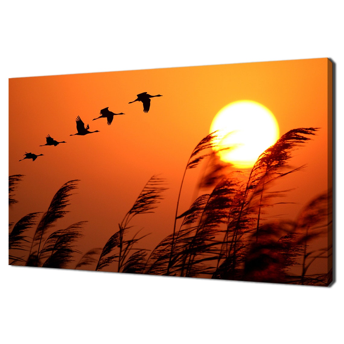 Birds Silhouette Sunset Flight Orange Sky Reed Marsh Nature Poster