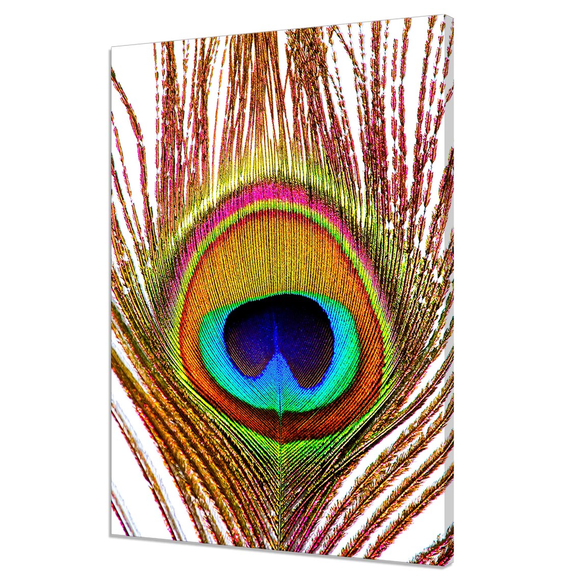 Vivid Peacock Feather Macro Eye Iridescent Colours Nature Art Poster
