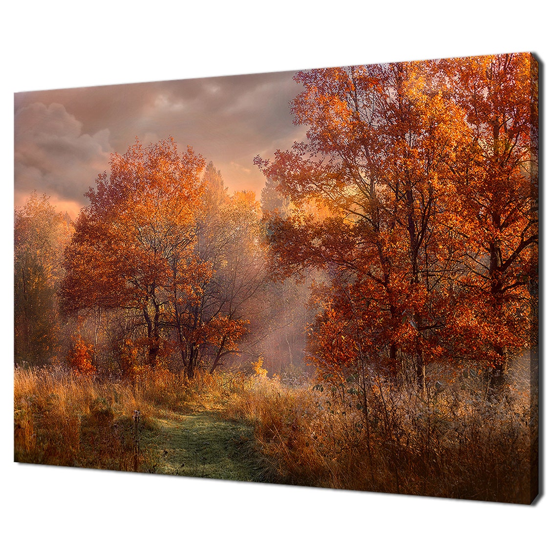 Red Autumn Trees In Misty Morning Forest Sunrise Nature Travel Poster