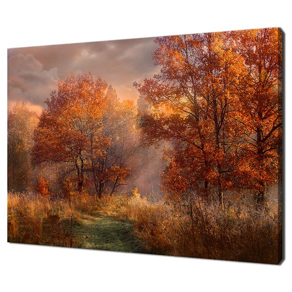 Red Oaks Trees At Early Misty Morning Sunrise Modern Design Home Decor Print Wall Art Picture