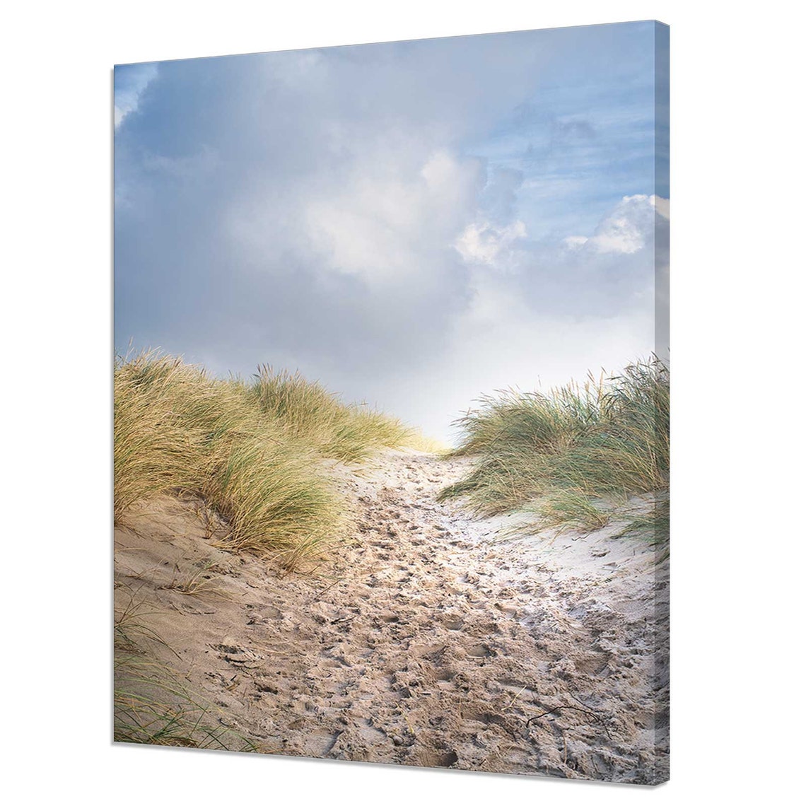 Sandy Path Through Dunes To The Sea Coastal Grass Landscape Poster