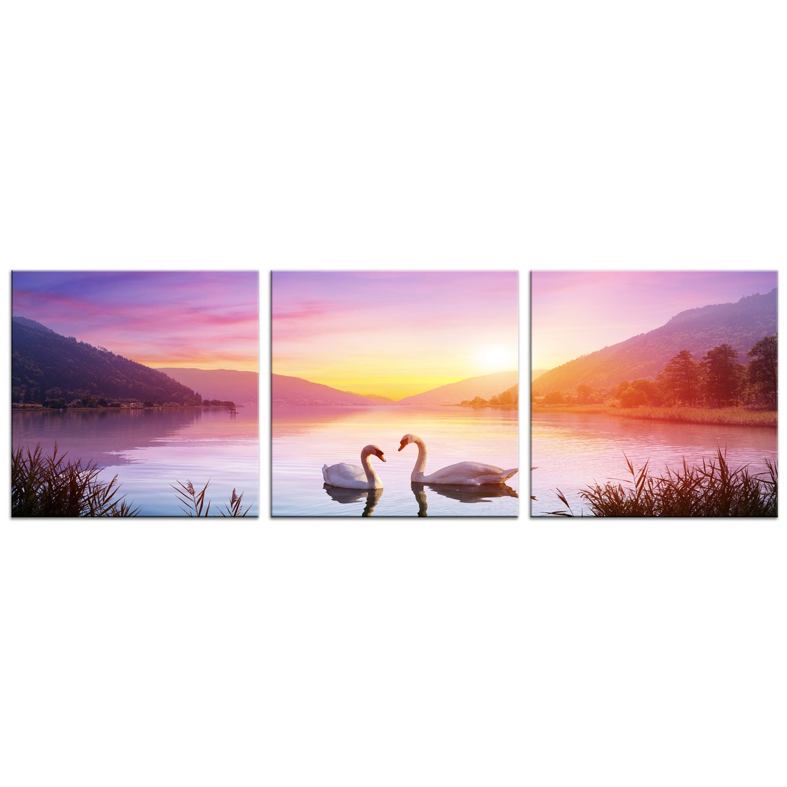 Two Swans On Calm Lake At Sunrise Triptych Romantic Purple Sky Poster