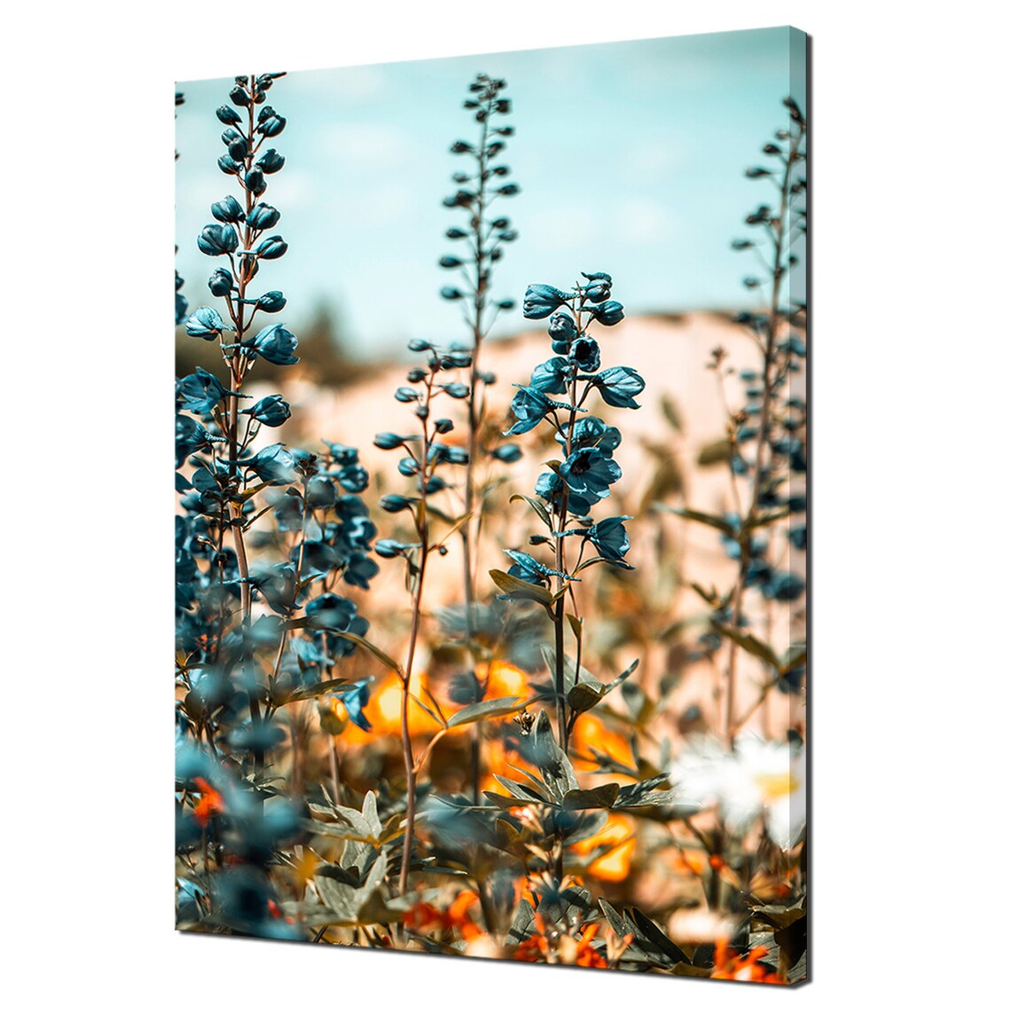 Sunset Over Blue And Teal Flowers, Modern Design