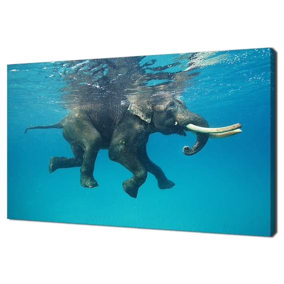 Elephant Swimming Underwater Blue Ocean Playful Wildlife Photography Wall Poster