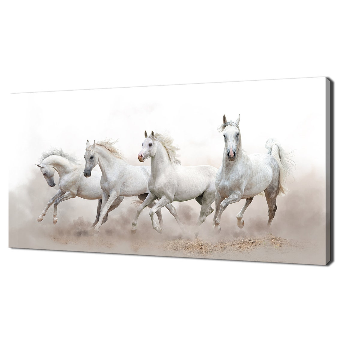 Four White Horses Galloping Dust Cloud Running Herd Wildlife Poster