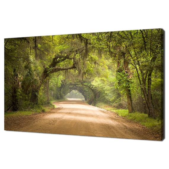 Beautiful Charleston Sc Road Through The Forest Oak Trees Modern Landscape Design Home Decor Print Wall Art Picture Wall Hanging