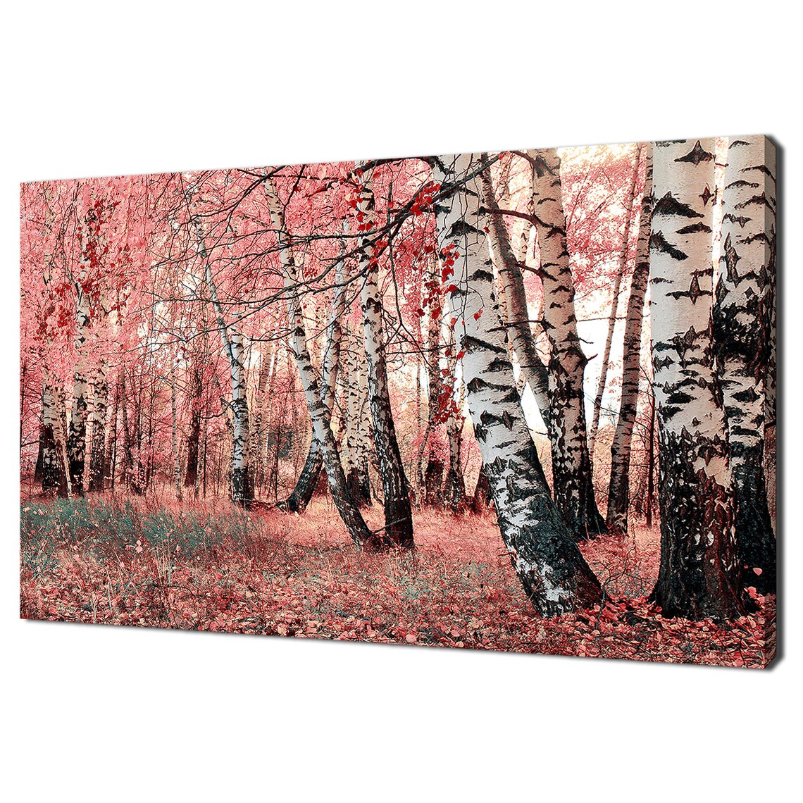 Pastel Pink Birch Grove Forest Trees Nature Modern Design Print Wall Art Picture