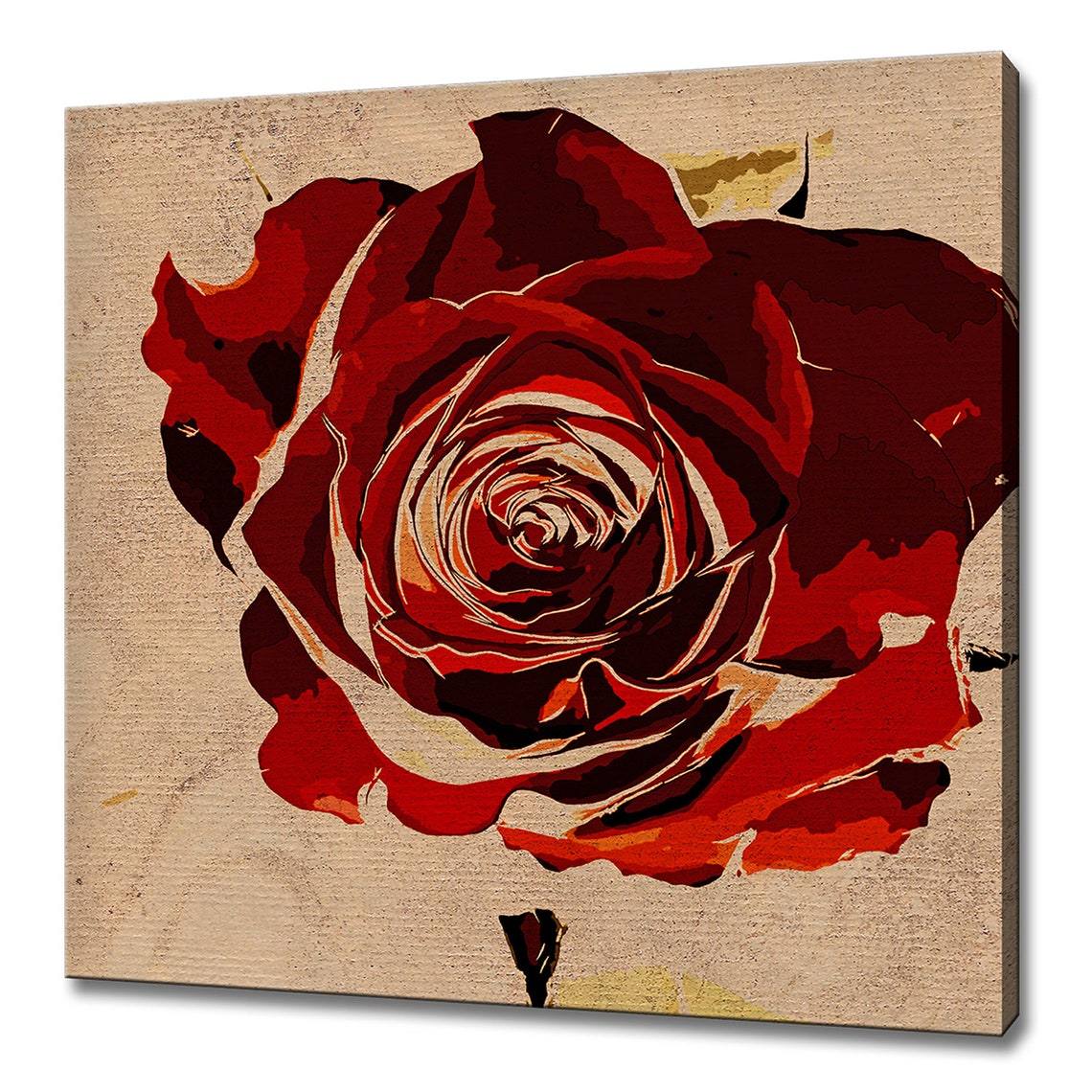 Bold Red Rose Bloom Vintage Illustration Rustic Floral Wall Art Poster