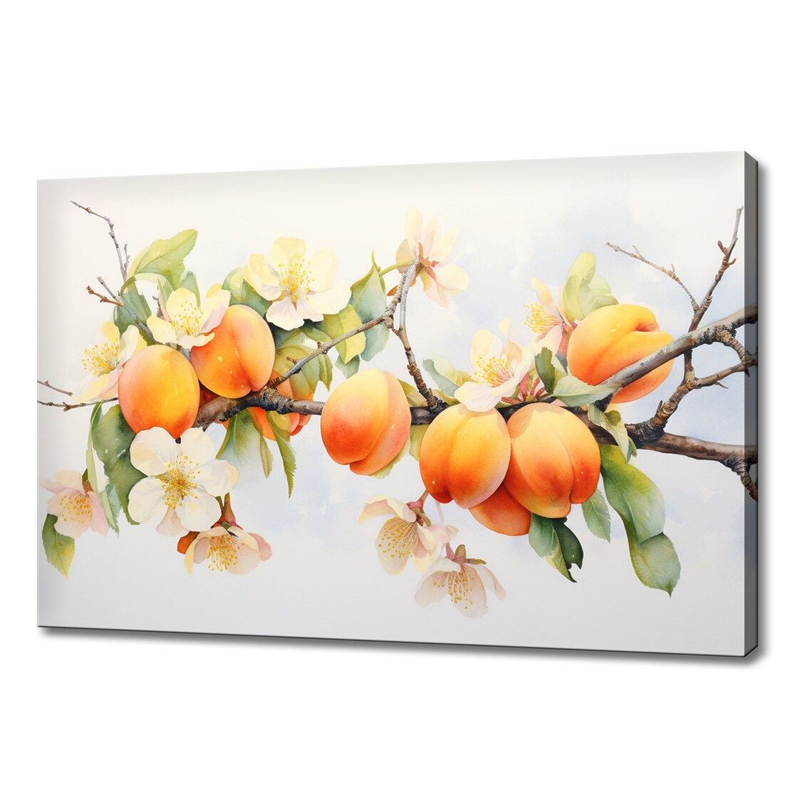 Apricot Fruits On Tree Branch Watercolour Print Colourful Kitchen Wall Art Fruit Print Modern Kitchen Restaurant Wall Decor
