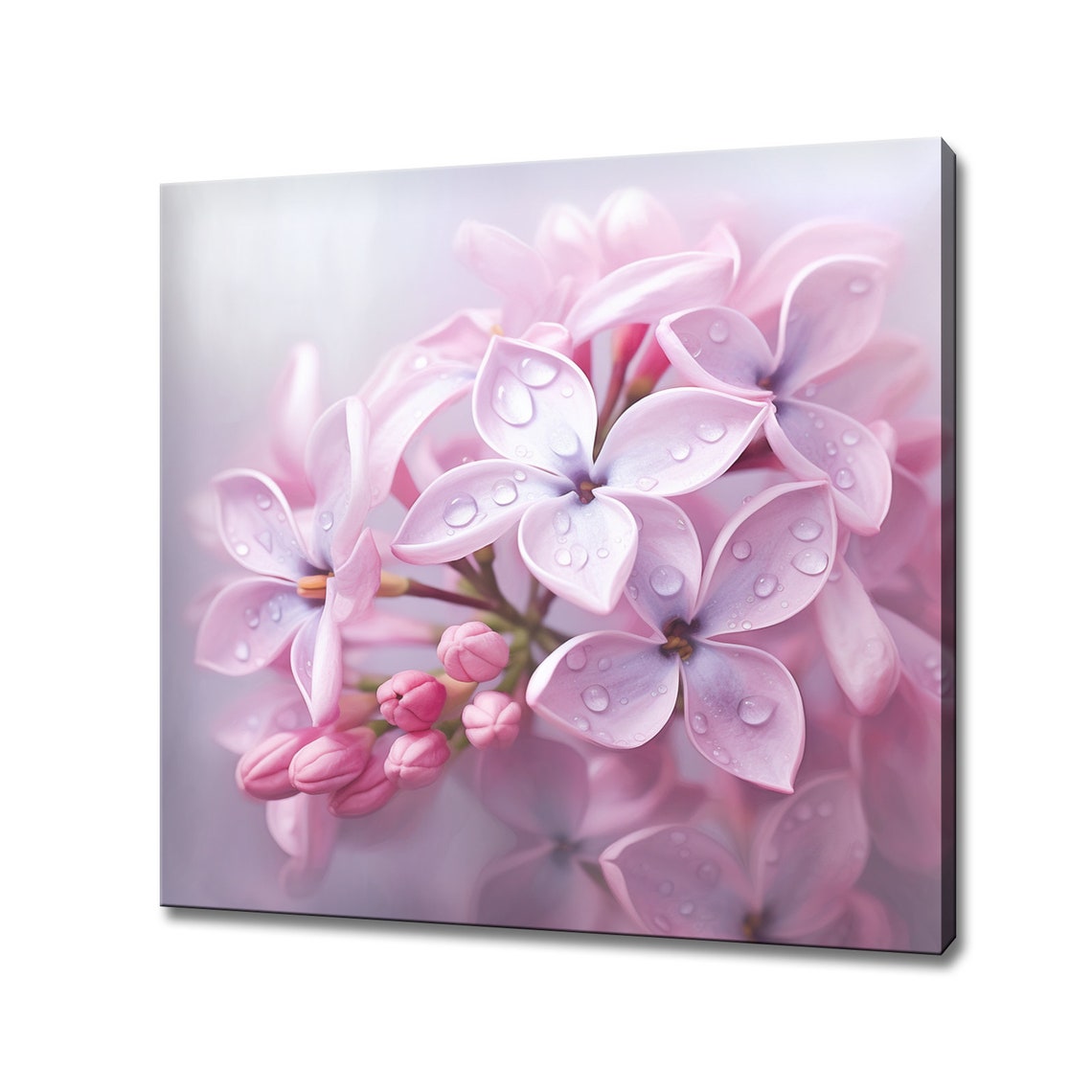 Lilac Flowers Close Up Water Droplets Pink Blossom Macro Poster