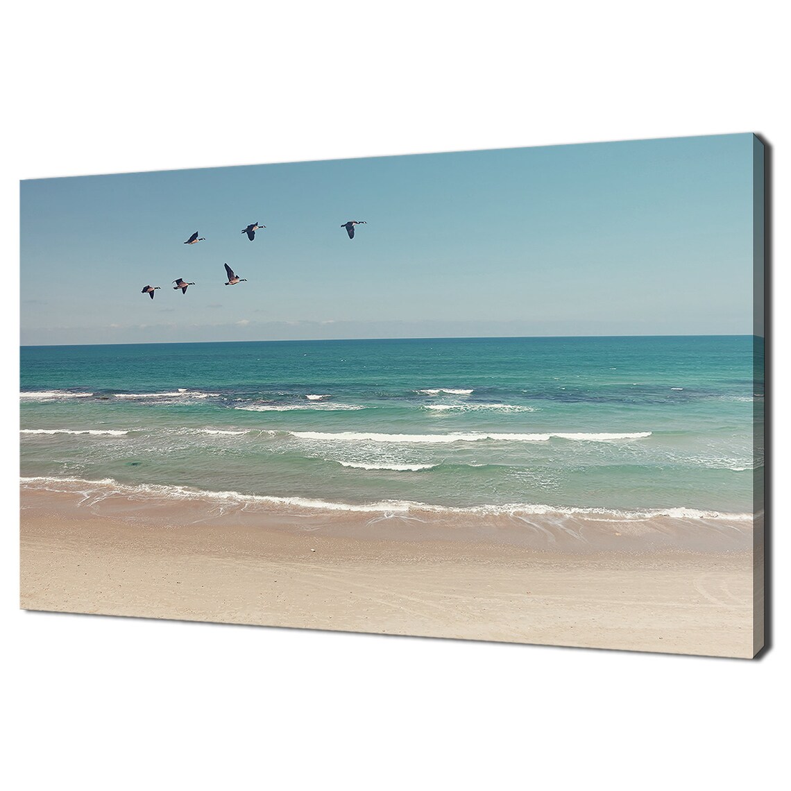 Turquoise Beach Seascape Flying Birds Sandy Shore Summer Travel Poster