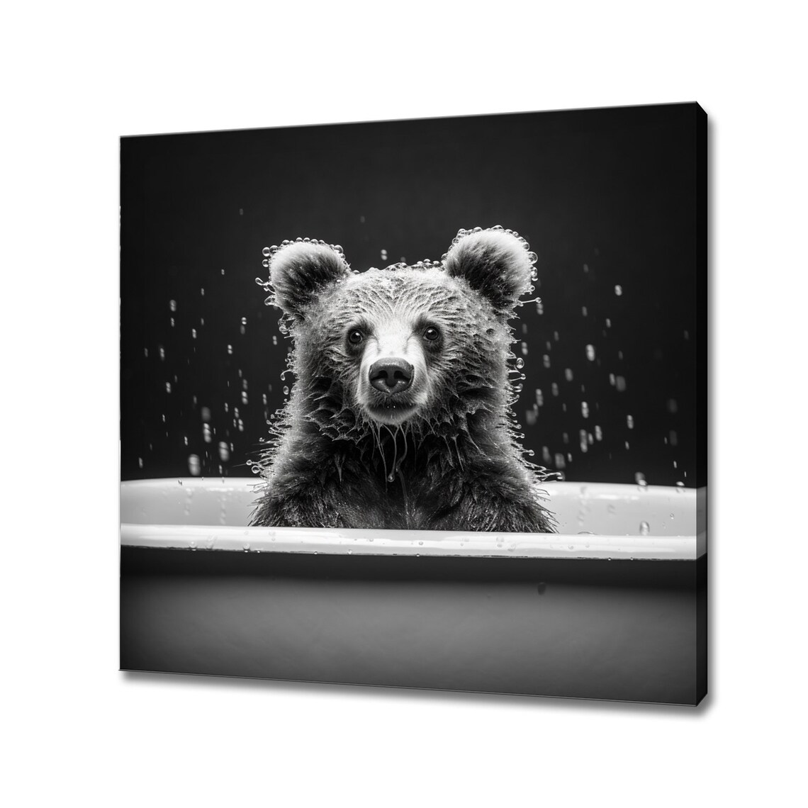 Cute Baby Bear In Bathtub Splashing Water Black White Animal Art Poster