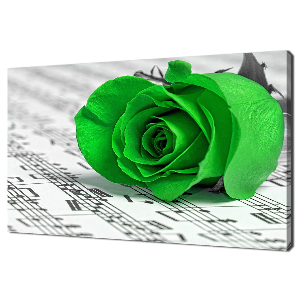 Green Rose Flower On Sheet Music Selective Color Musical Art Poster