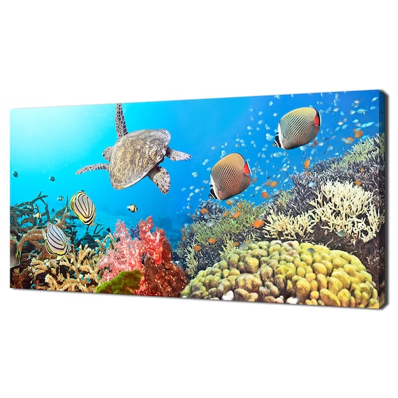 Green Sea Turtle Coral Reef Butterflyfish Bright Blue Underwater Poster