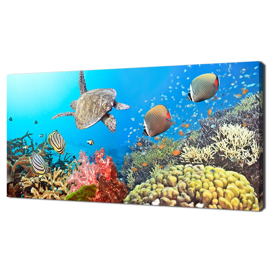 Green Sea Turtle Coral Reef Butterflyfish Bright Blue Underwater Poster