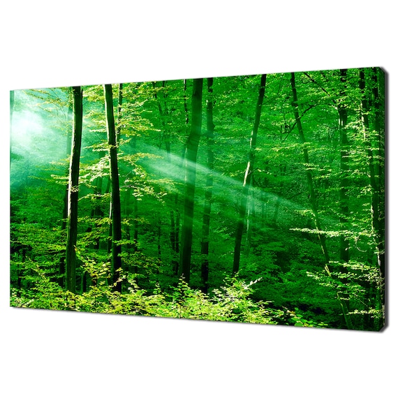 Sunbeams In The Green Forest At Morning Modern Landscape Design Home Decor Print Wall Art Picture Wall Hanging