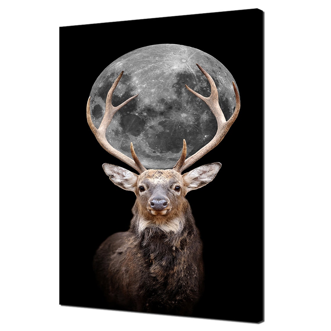 Stag with Full Moon Behind Antlers Night Sky Wildlife Wall Art