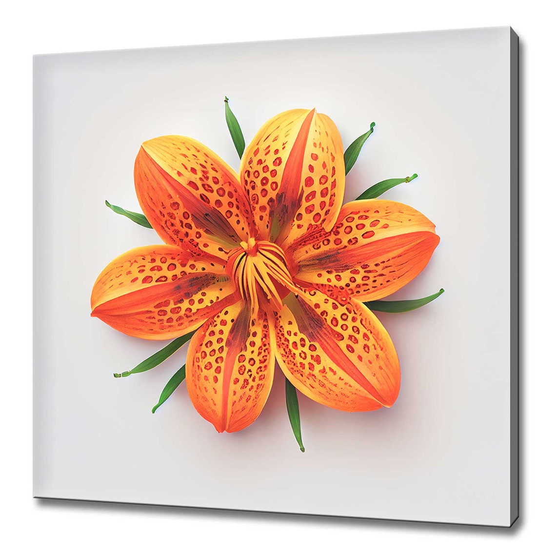 Vibrant Orange Tiger Lily With Dark Spots Minimal Floral Wall Art