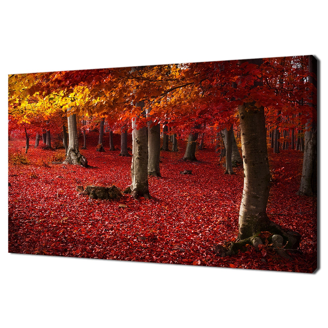 Autumn Forest Carpeted In Red Leaves Fiery Fall Trees Travel Poster