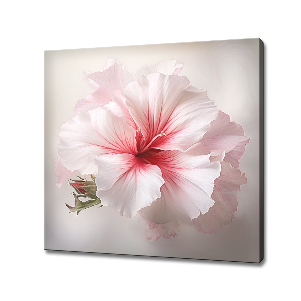 Pink Hibiscus Flower Close Up Blush Pink Bloom Botanical Poster