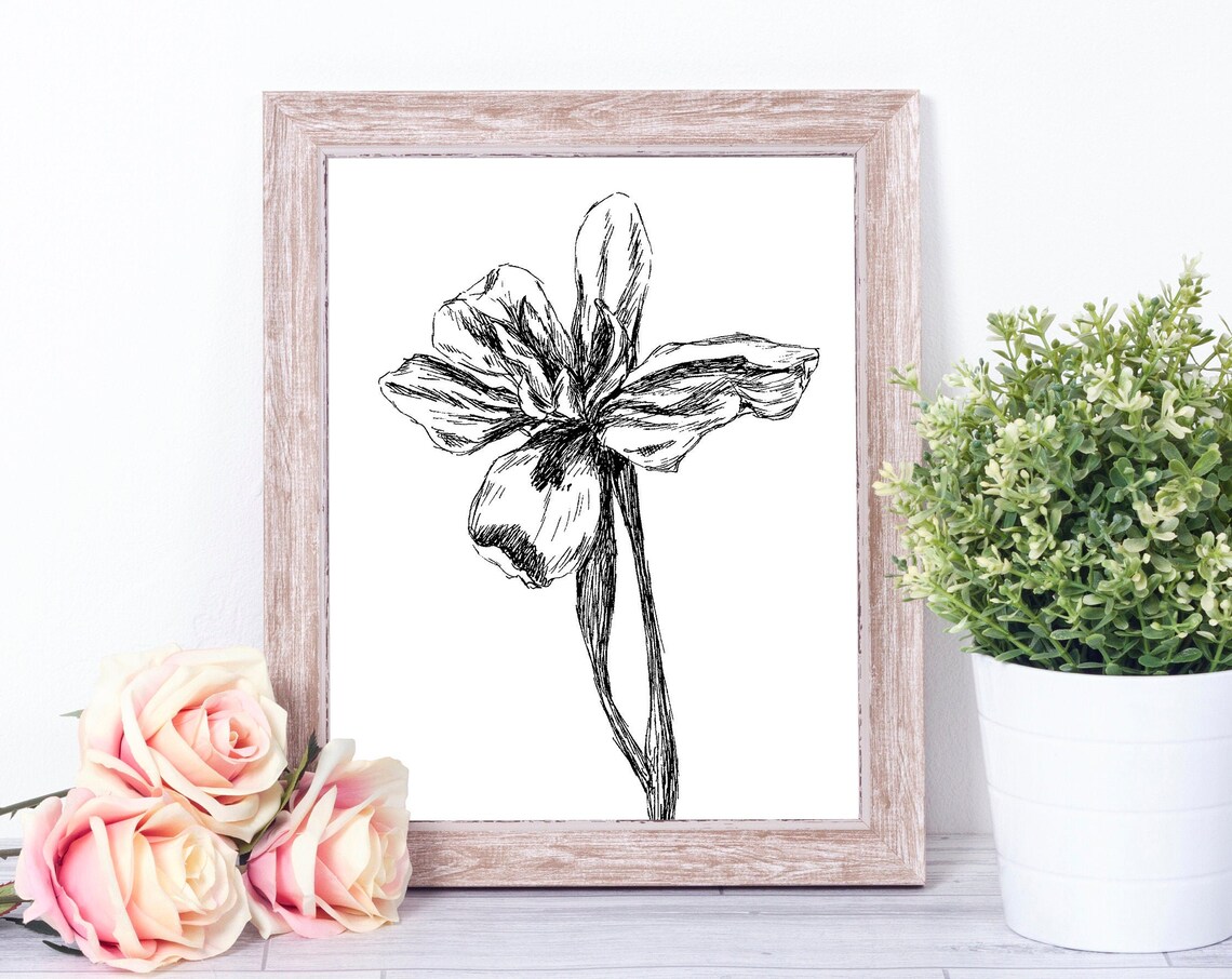 Iris Flower Black And White Botanical Line Art Flower Wall Art