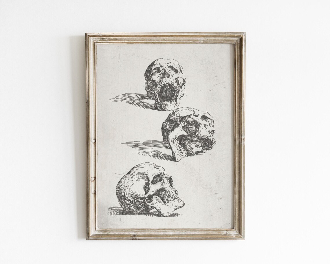 Antique Skull Studies Engraving Gothic Anatomy Three Skulls Wall Art