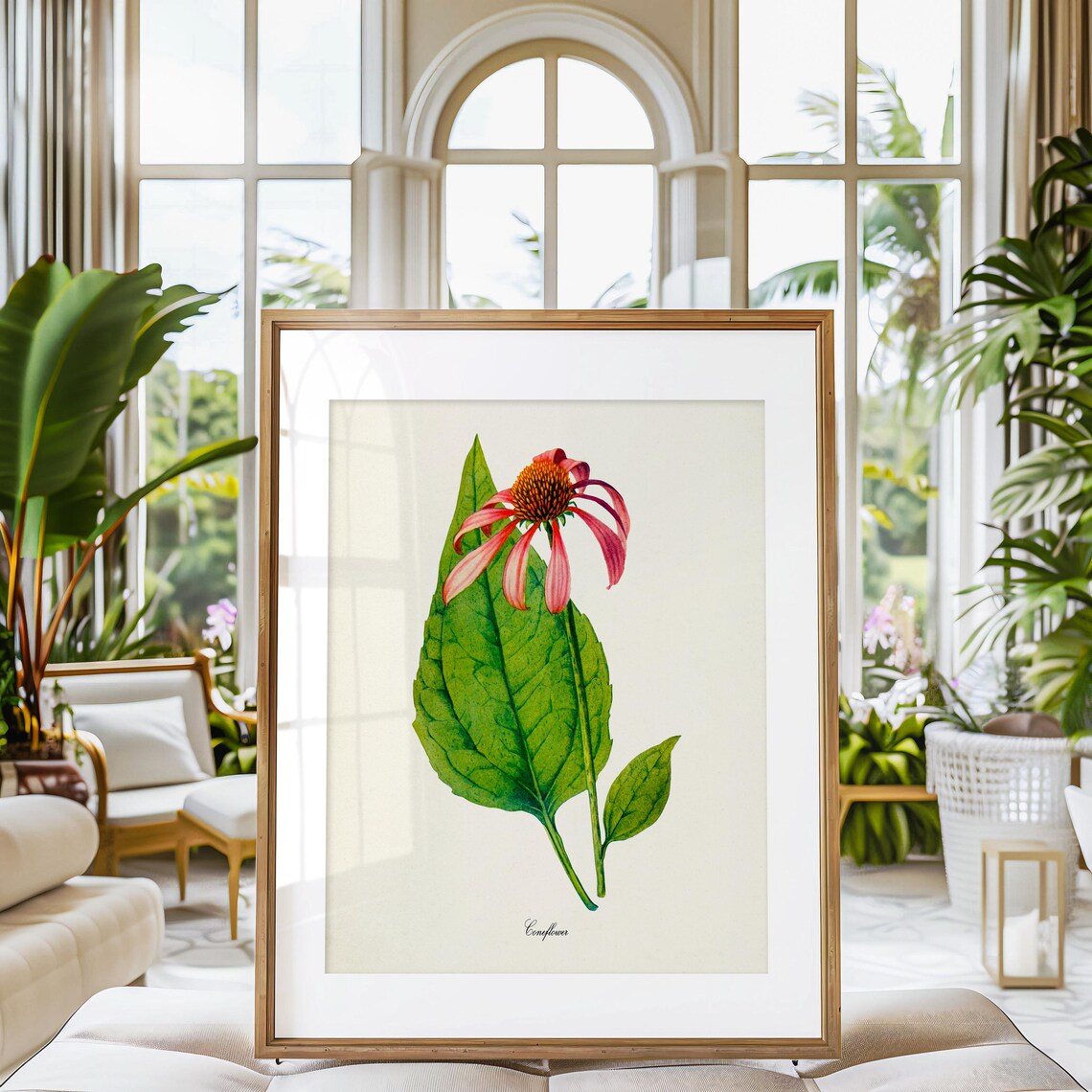 Coneflower Botanical Art Print, Floral Wall Art - Image 3