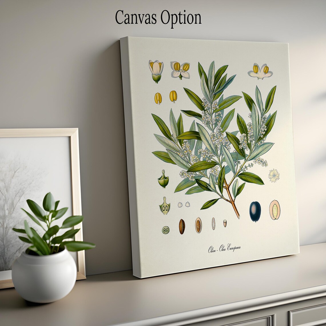 Olive Botanical Art Print, Olea Europaea Kitchen - Image 2