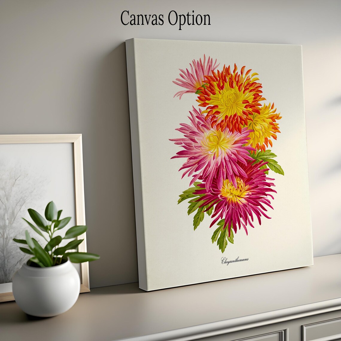 Chrysanthemum Flower Wall Art Print, Pink Red Yellow - Image 2