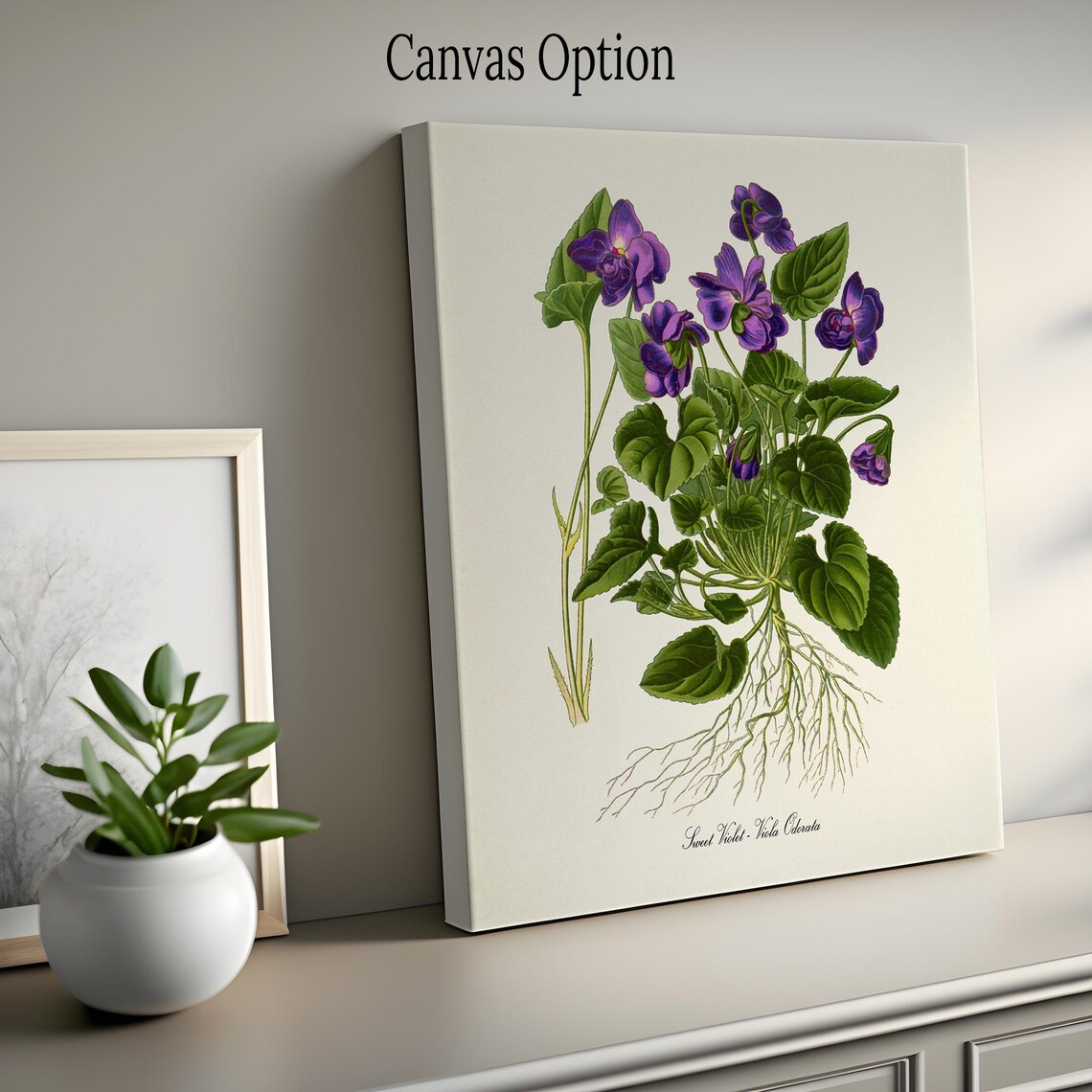 Sweet Violet Botanical Art Print, Purple Viola Odorata - Image 2