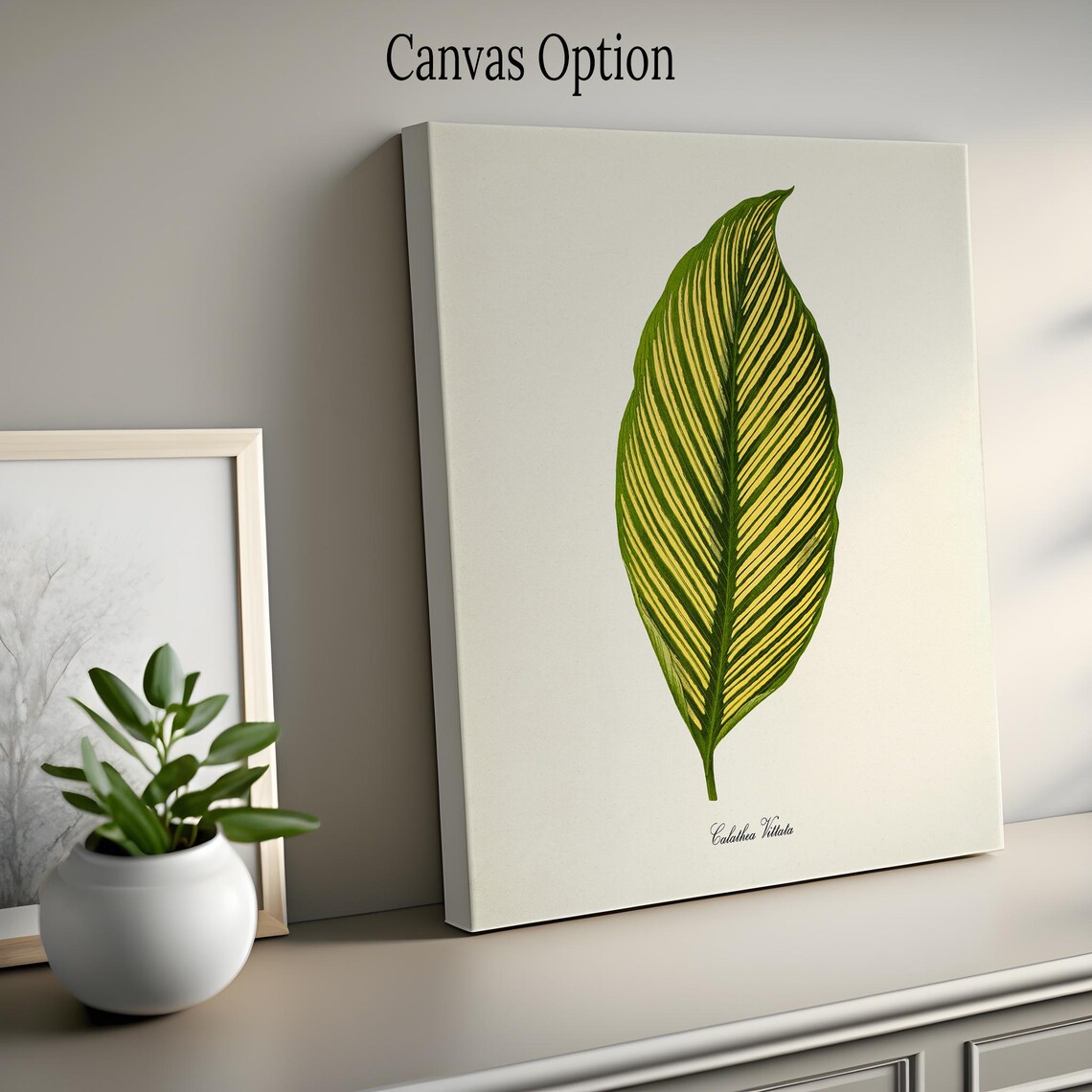 Calathea Vittata Botanical Art Print, Green Leaves - Image 2