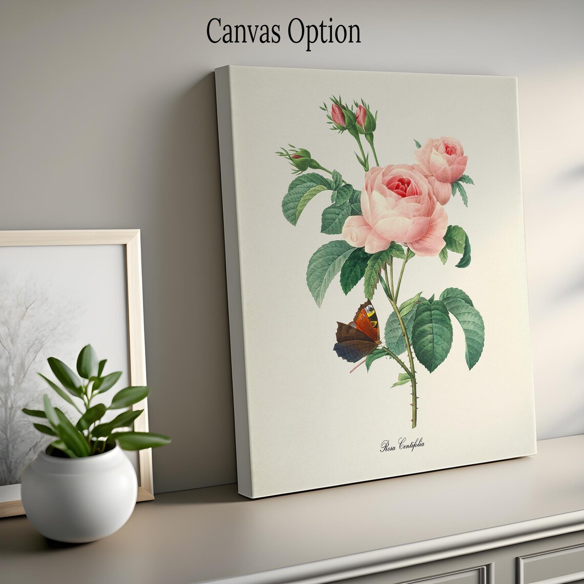 Pink Rose Botanical Art Print, Redouté Style - Image 2