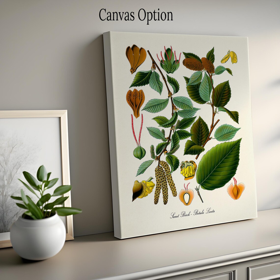 Sweet Birch Botanical Art Print, Kitchen Wall Art - Image 2