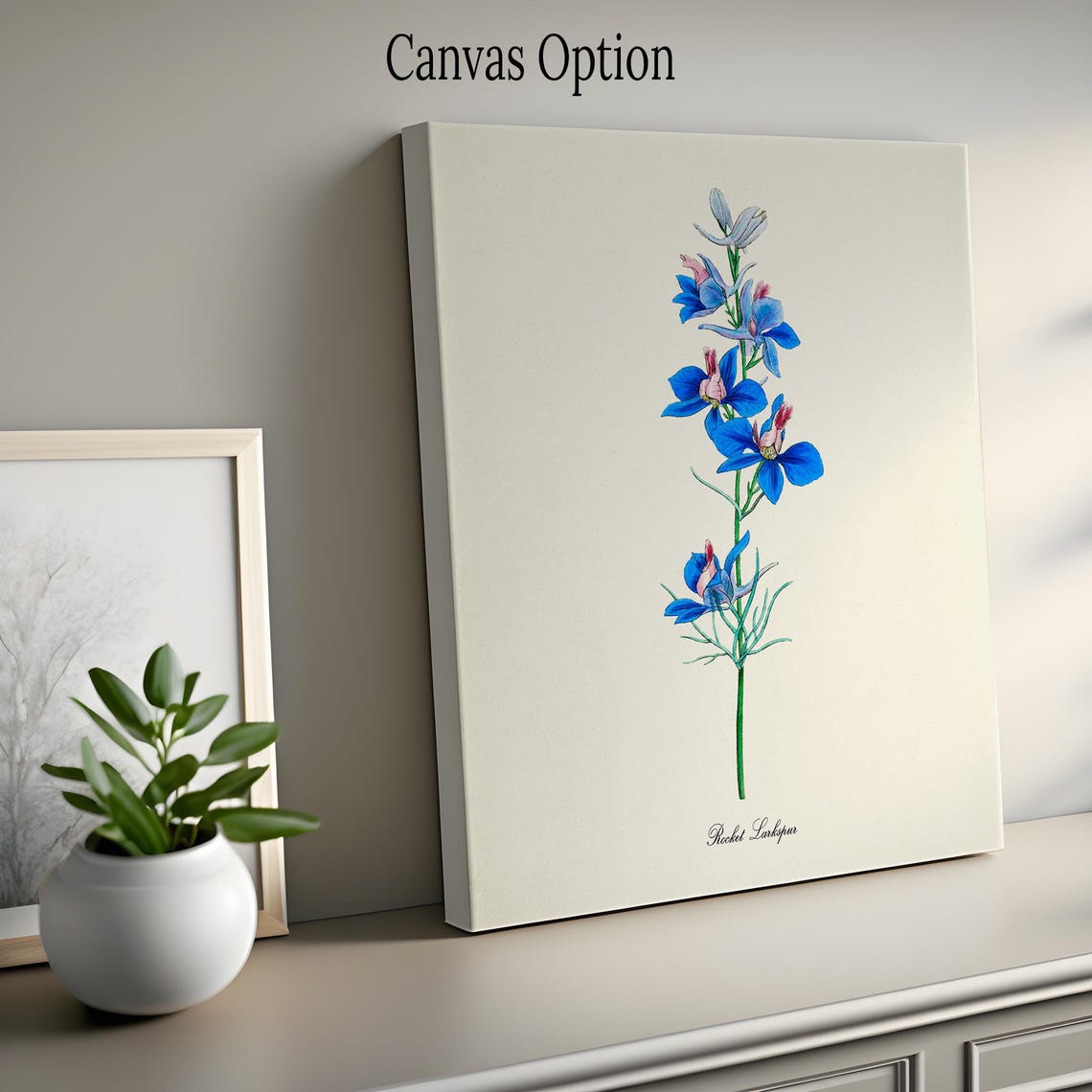 Rocket Larkspur Blue Botanical Print in Vintage Illustration Style - Image 2
