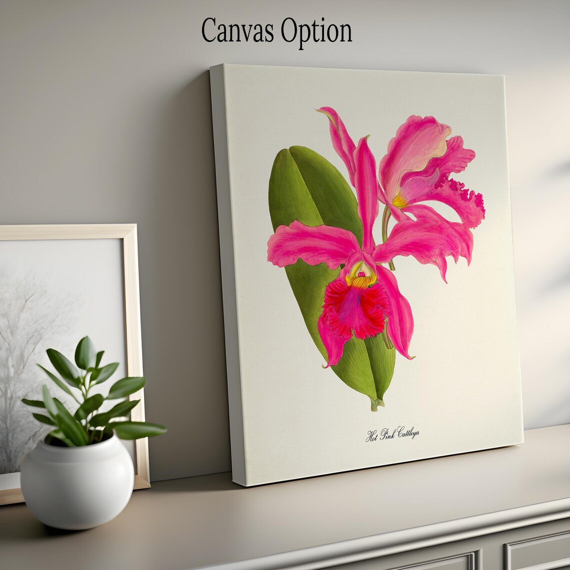 Hot Pink Cattleya Flower Botanical Art Print - Image 2