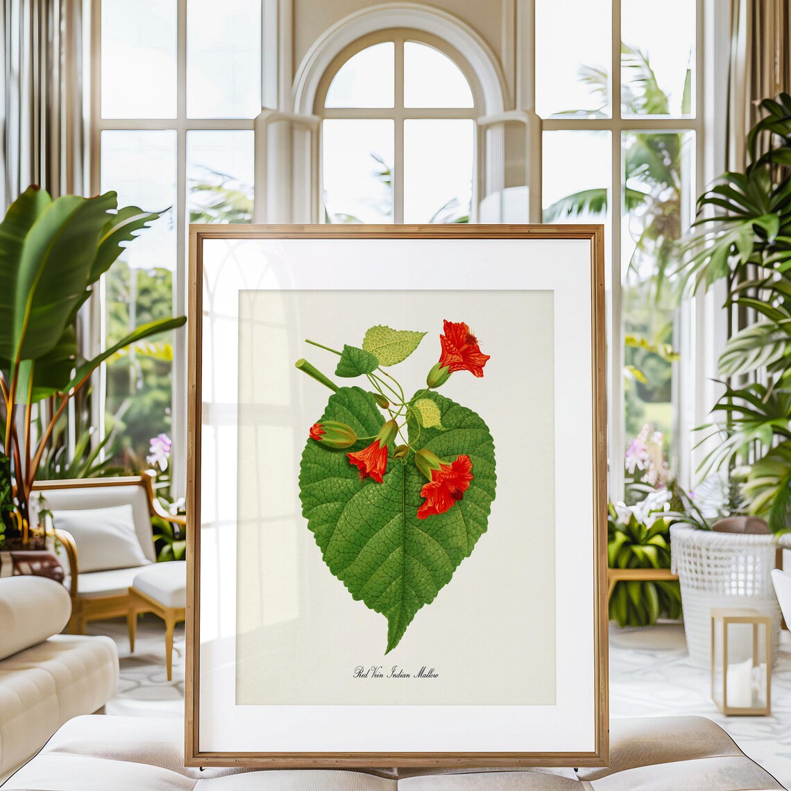 Red Vein Indian Mallow, Chinese Lantern Art Print - Image 3