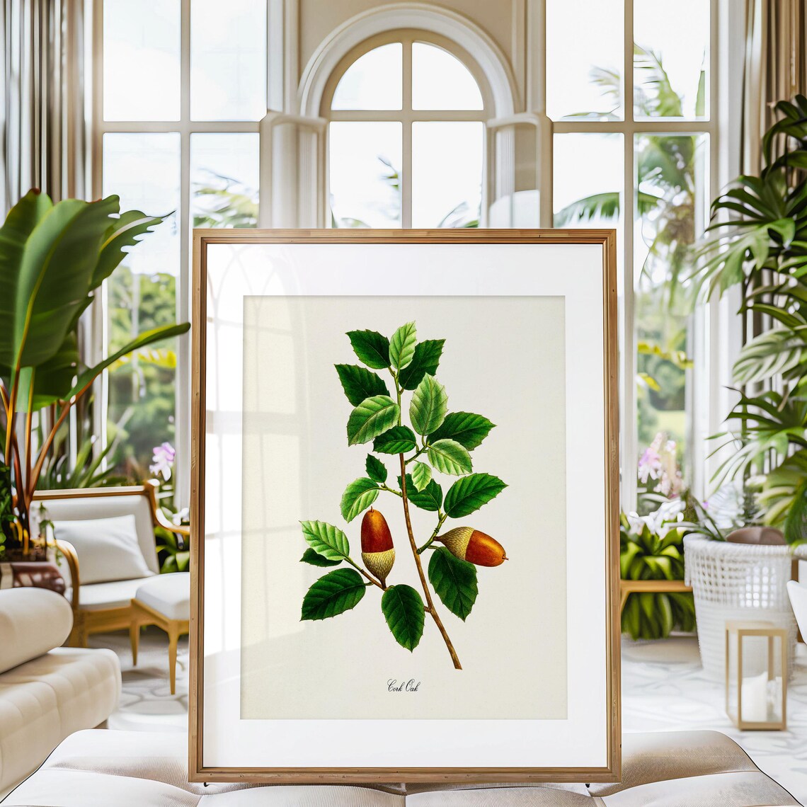 Cork Oak Botanical Art Print, Tree Study Poster - Image 3