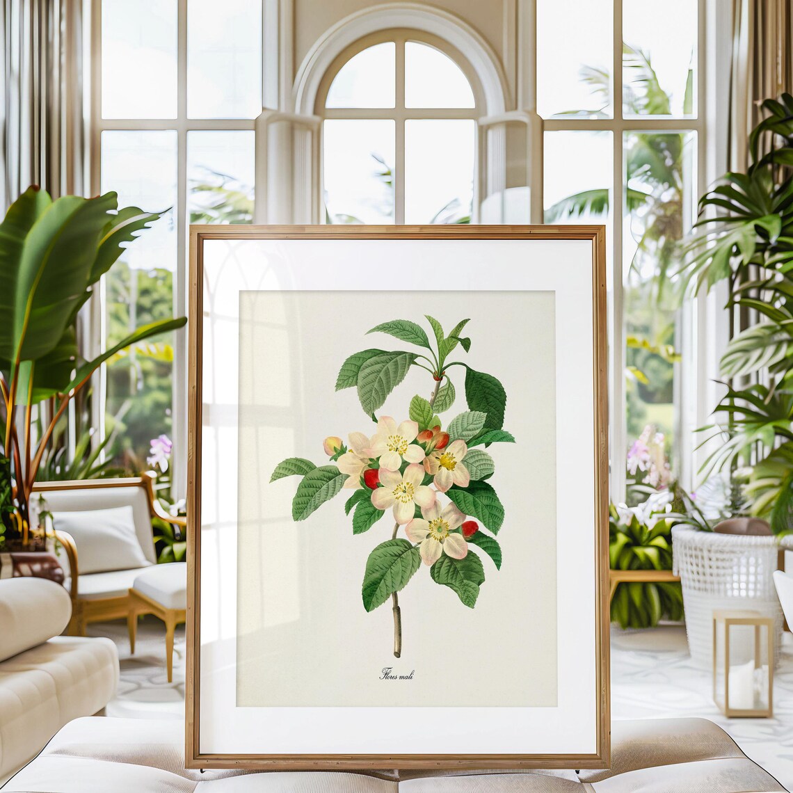 Flores Mali Botanical Flower Art Print, Redoute - Image 3