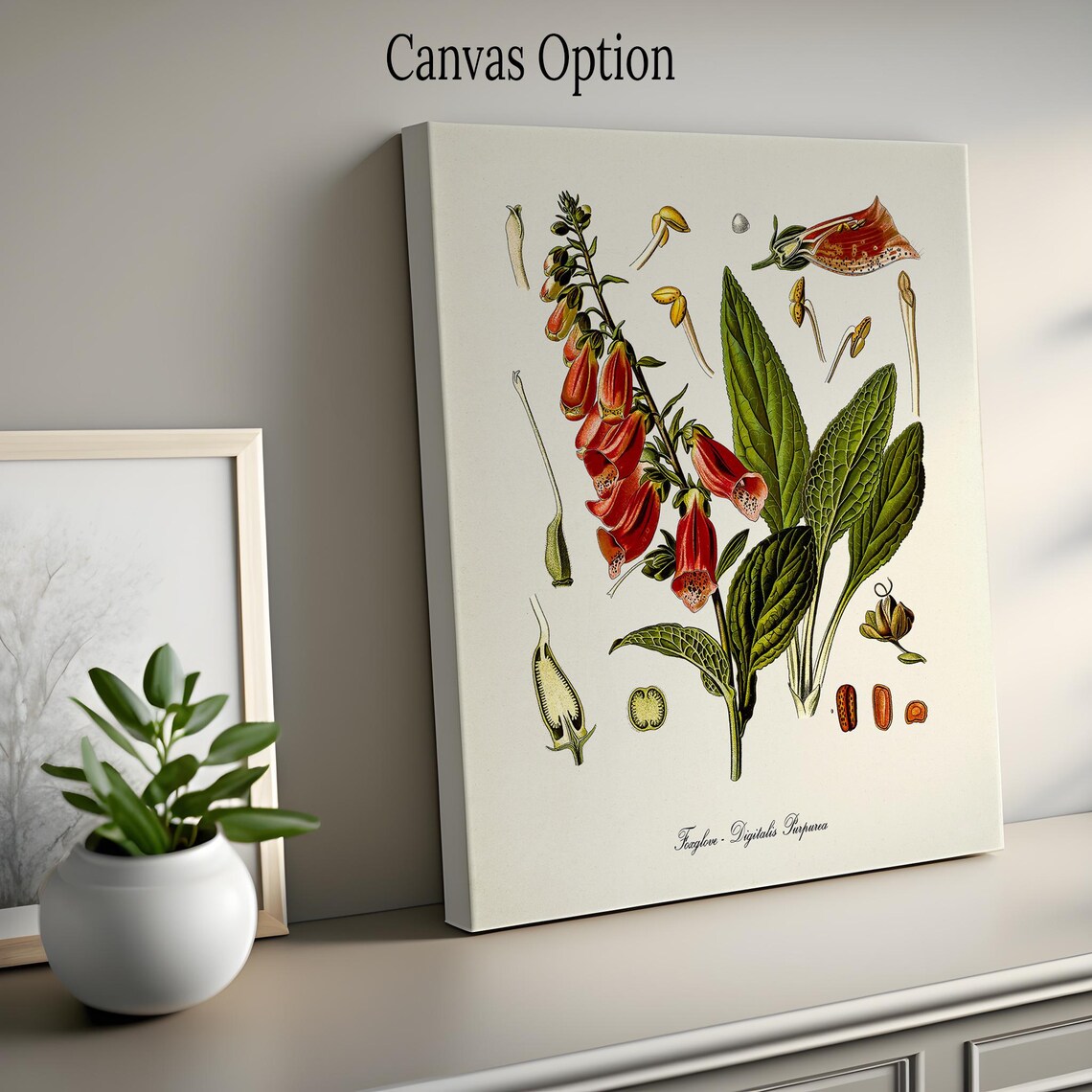 Foxglove Botanical Art Print, Digitalis Purpurea - Image 2