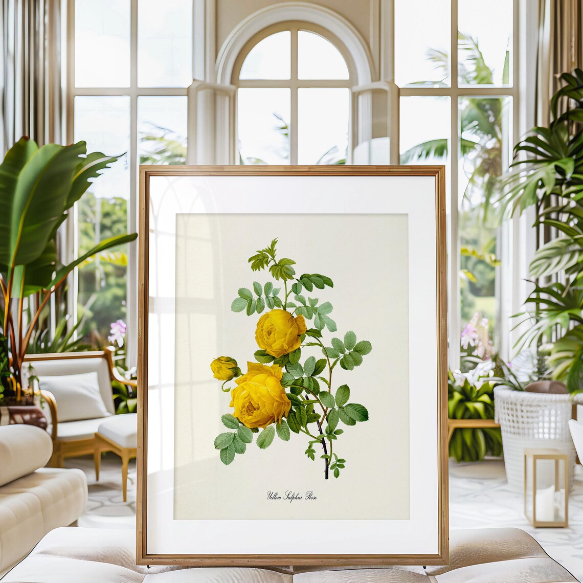 Yellow Sulphur Rose Botanical Floral Art Print - Image 3