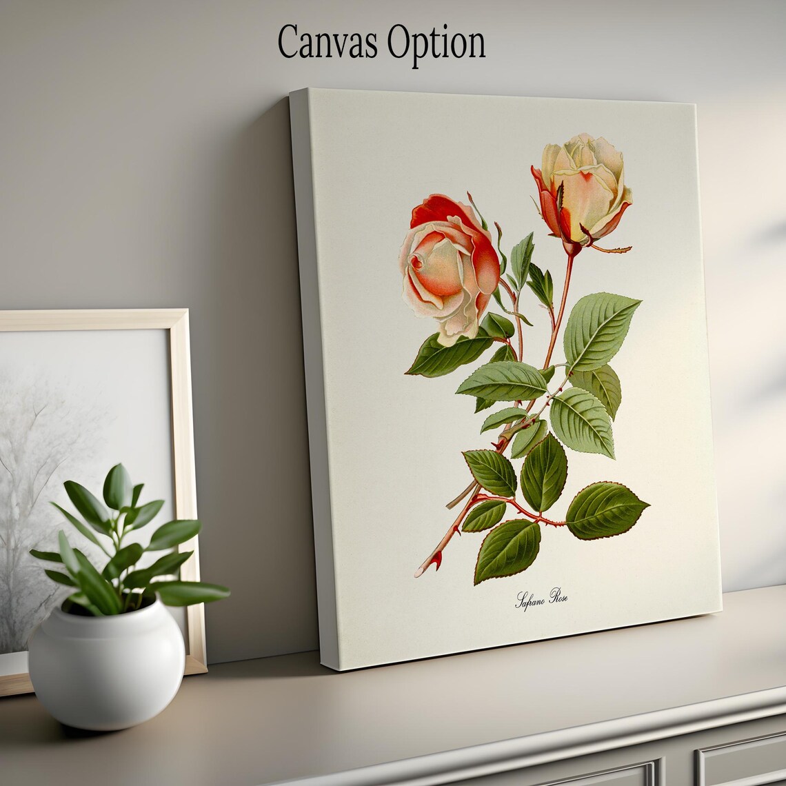 Safrano Rose Cream Blush Vintage Botanical Flower Classic Poster - Image 2