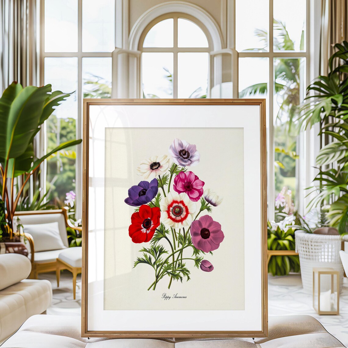 Poppy Anemones Botanical Art Print, Flower Decor - Image 3