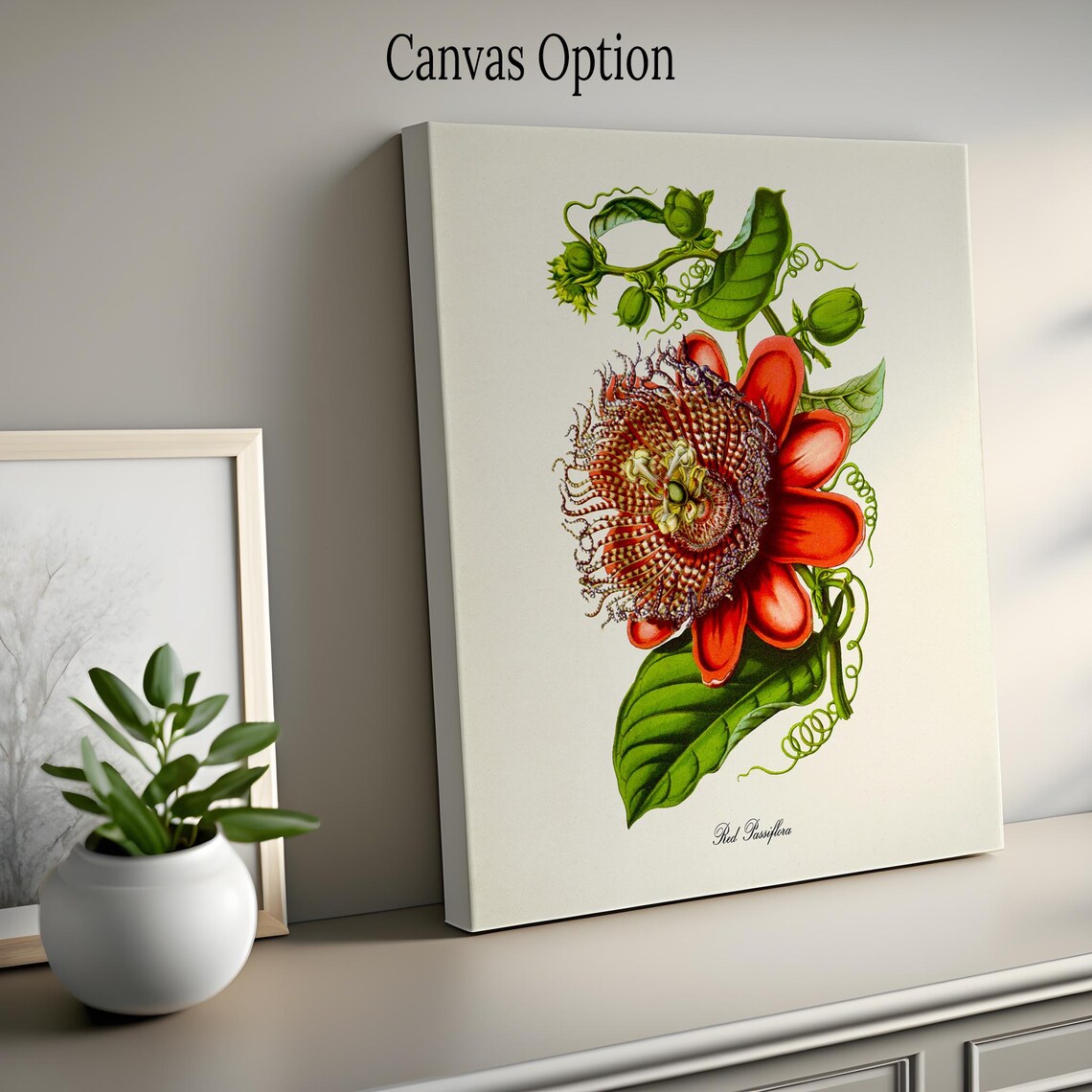 Red Passiflora Flower Botanical Wall Art Print - Image 2
