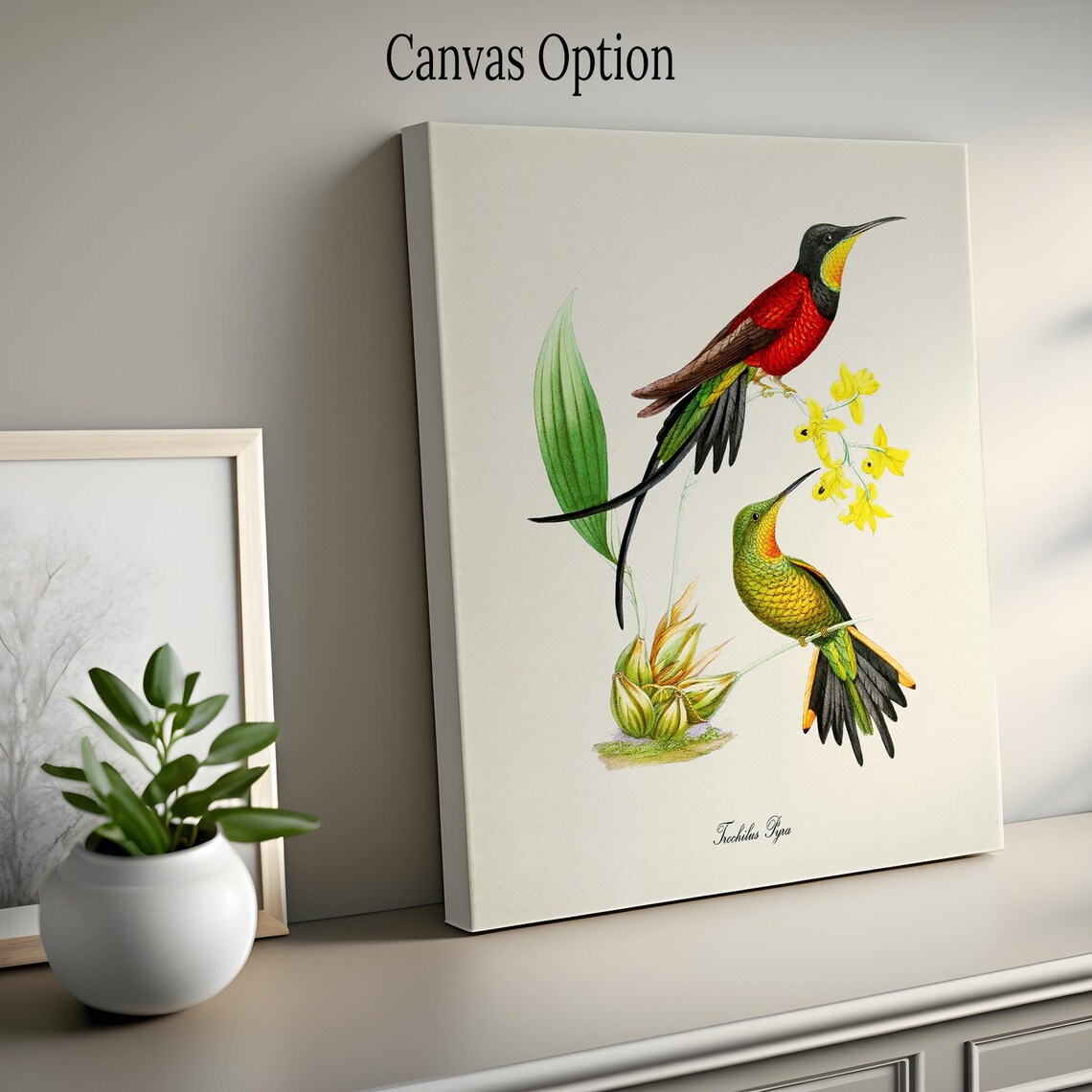 Hummingbird Bird Art Print, Floral Garden Poster - Image 2