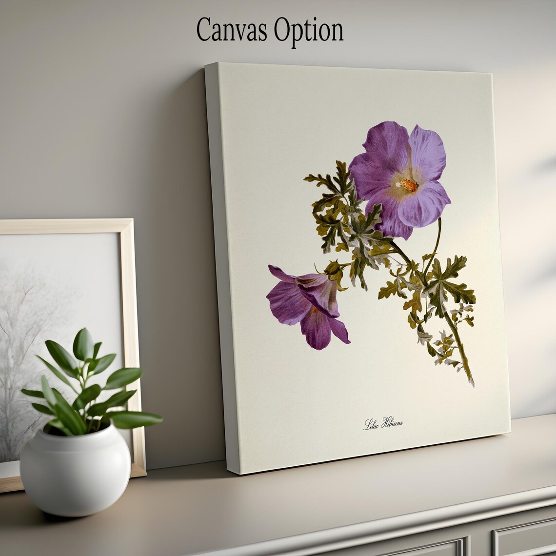 Lilac Hibiscus Purple Bloom Vintage Botanical Flower Classic Poster - Image 2