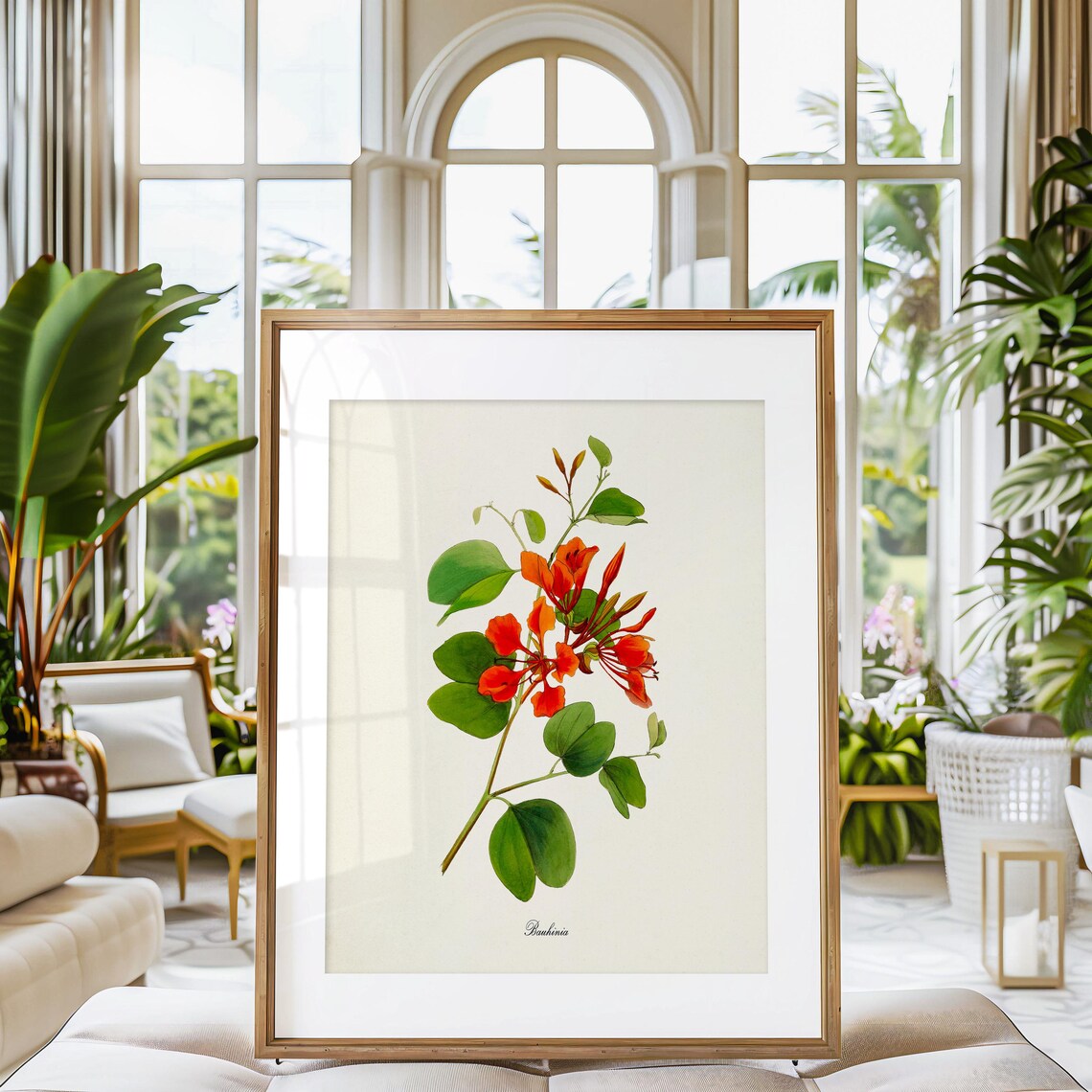 Bauhinia Flower Botanical Wall Art Print, Floral - Image 3