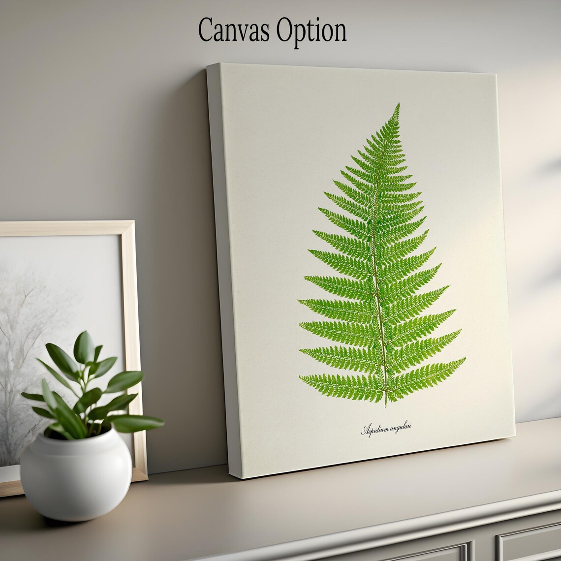 Fern Botanical Art Print, Aspidium Angulare Study - Image 2