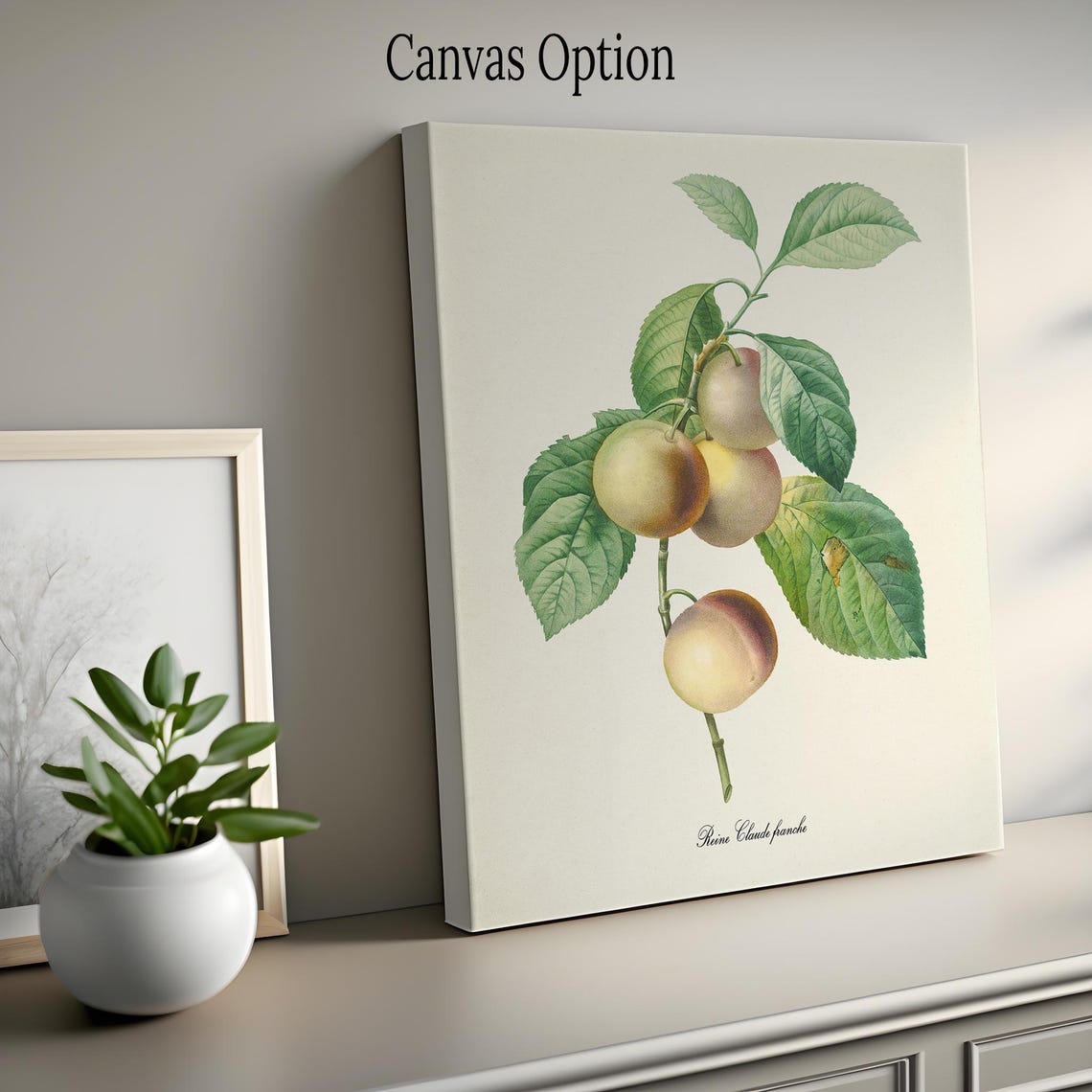 Reine Claude Franche Plum Branch Vintage Fruit Botanical Art Poster - Image 2