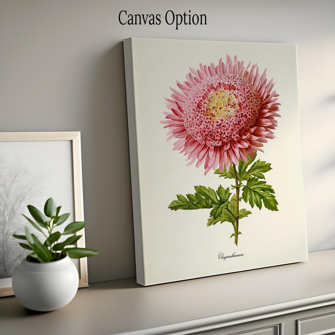Chrysanthemum Flower Botanical Art Print, Pink Mum - Image 2